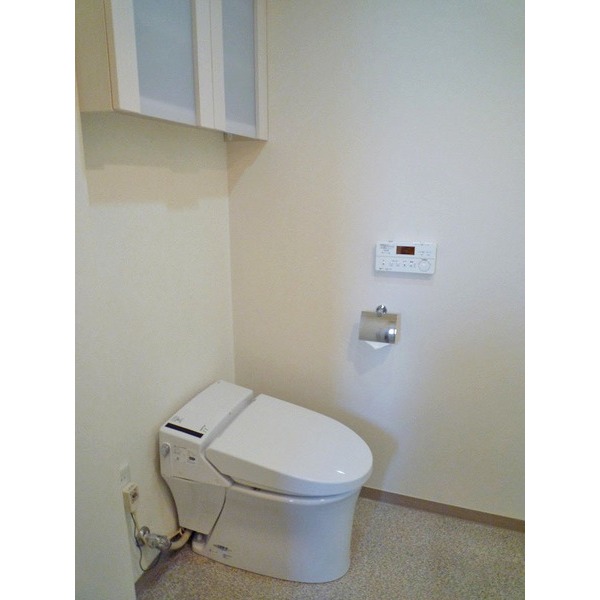 Toilet. INAX made toilet