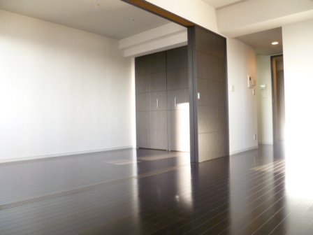 Other. Introspection