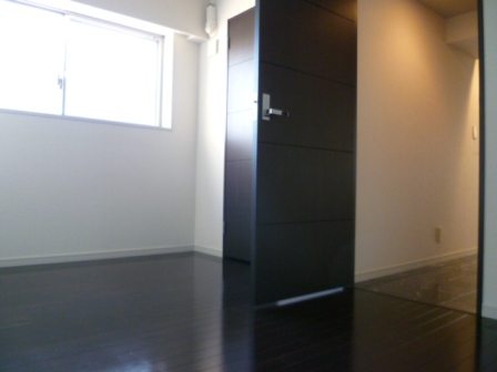 Other. Introspection