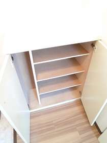 Entrance. It is the front door storage