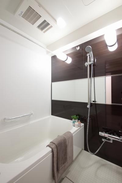 Bathroom. Indoor (12 May 2013) Shooting