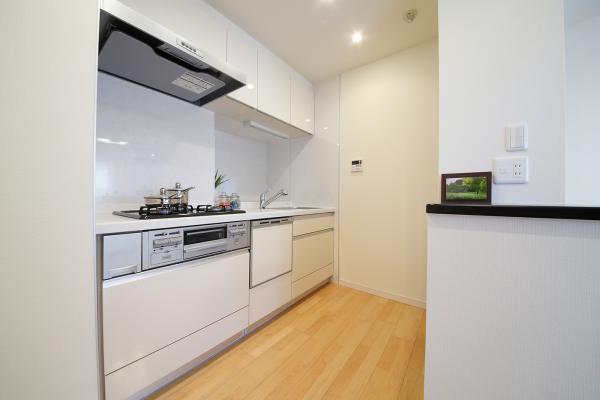 Kitchen. Indoor (12 May 2013) Shooting