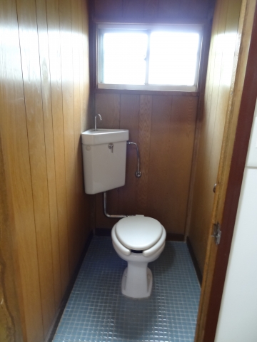 Toilet. Bright toilet.