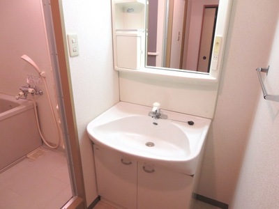 Washroom. Wash basin