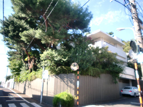 Building appearance. Green There are a lot of