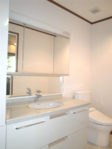 Toilet. Wash basin and toilet