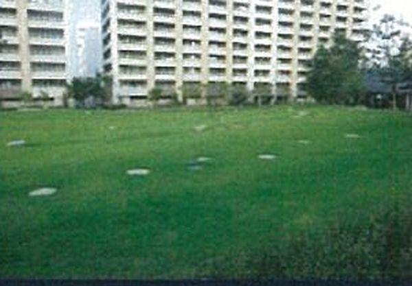 Other common areas. It is also playing carefree vast "solar garden" children which is located on the site center!