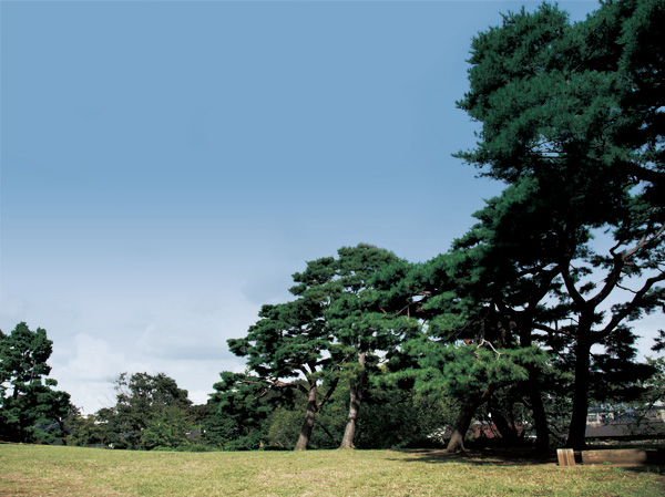 Surrounding environment. Unoki Matsuyama park (2 minutes walk / About 110m)