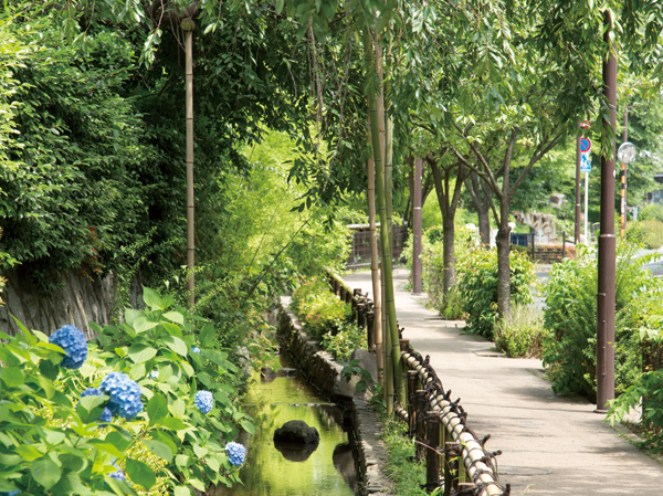 Surrounding environment. Old Rokugo water green road (7 min walk / About 530m)