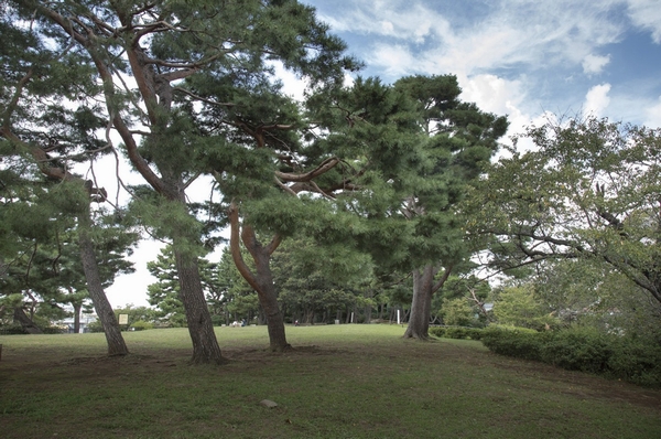 The ・ Kugahara Residence. (living ・ kitchen ・ bath ・ bathroom ・ toilet ・ balcony ・ terrace ・ Private garden ・ Storage, etc.)