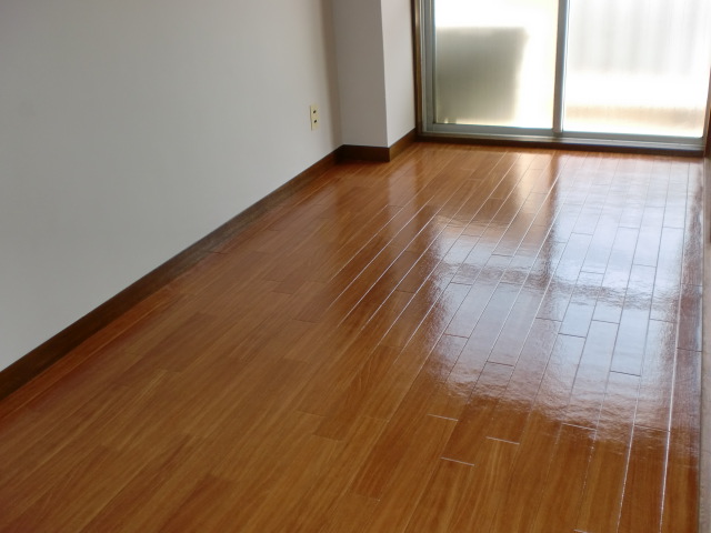 Living and room. South-facing Western-style