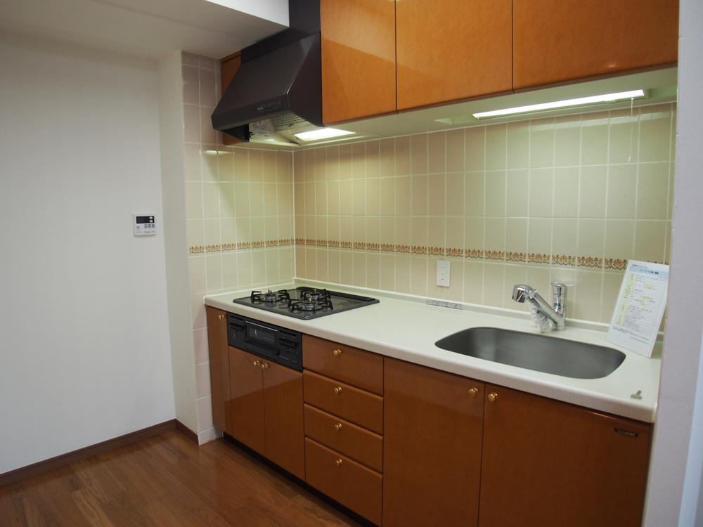 Kitchen. Indoor (10 May 2013) Shooting