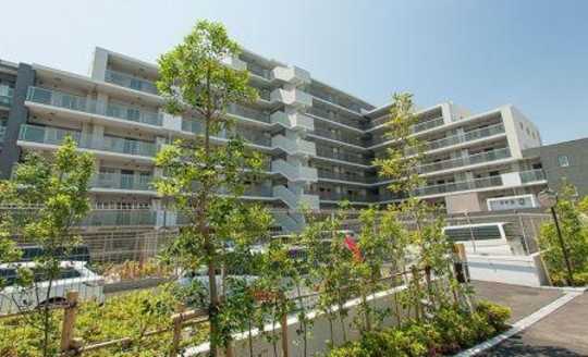 Local appearance photo. Appearance 1