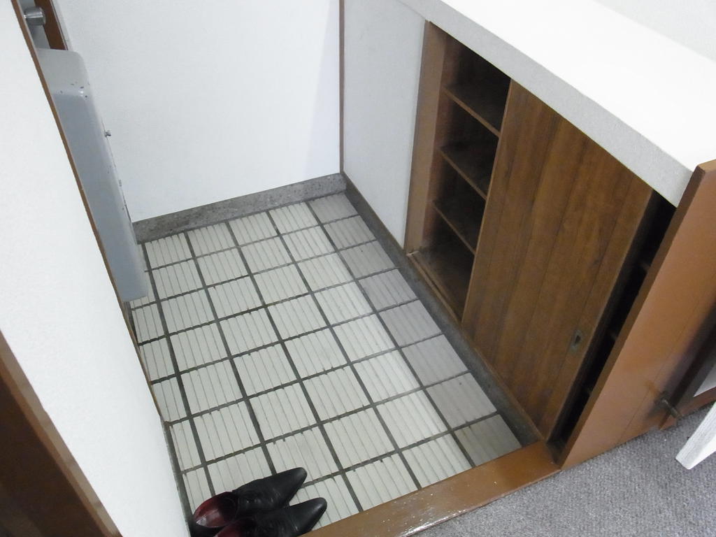 Entrance. You can also use the spacious foyer with a shoe box.