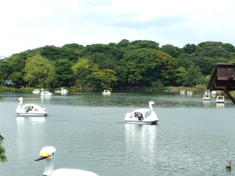 park. 900m until Senzokuike park