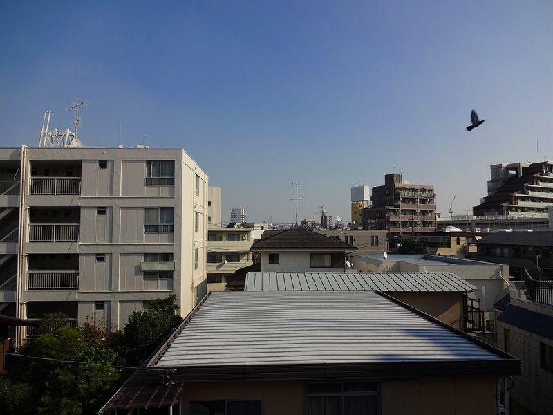 View photos from the dwelling unit. View photos