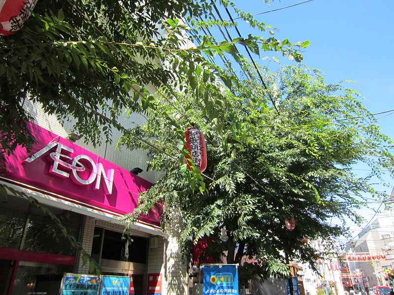 Supermarket. 220m until ion (super)