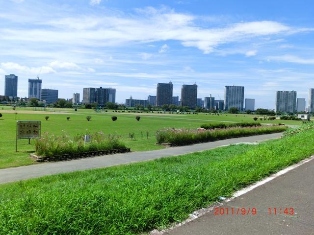 park. 369m to the Tama River Maruko Bridge green space