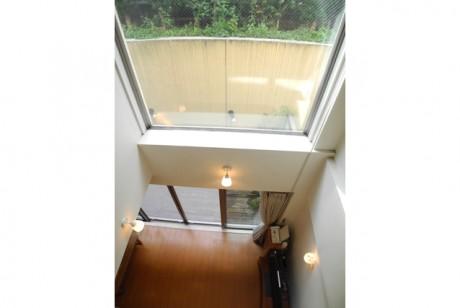 Other introspection. Blow-by