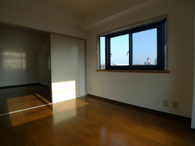 Living and room. Two-sided lighting bright Western-style