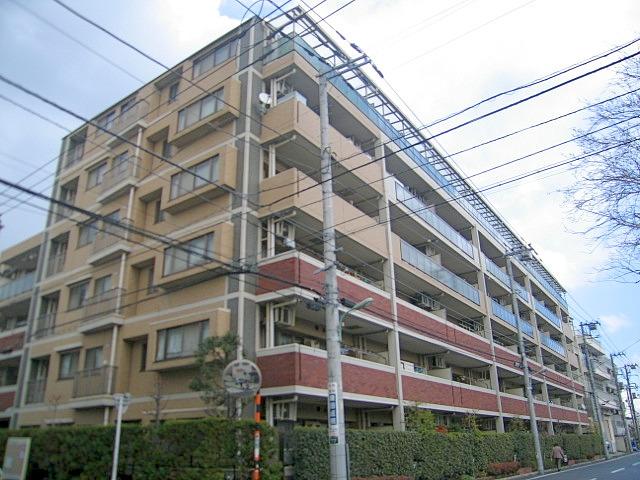 Local appearance photo. Pets welcome breeding! Local (12 May 2013) Shooting