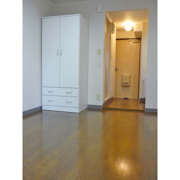 Living and room. Flooring