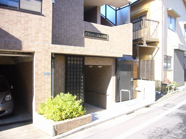 Entrance. Common areas