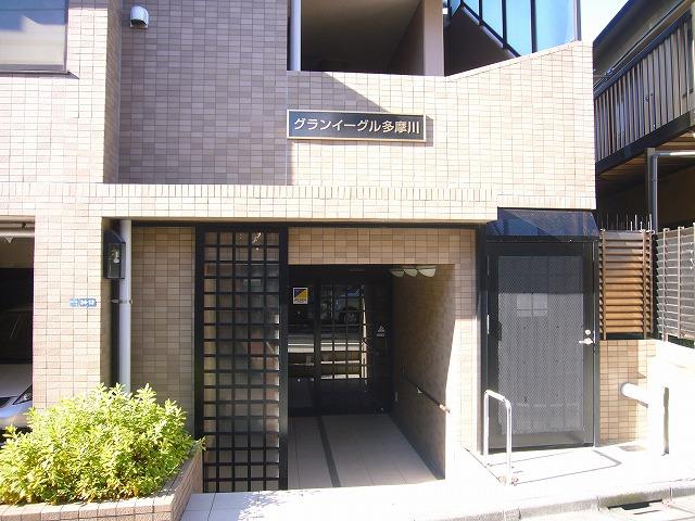 Entrance. Common areas