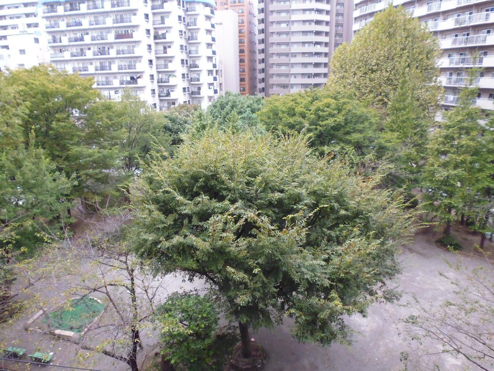 View photos from the dwelling unit. View from the site (November 2013) Shooting