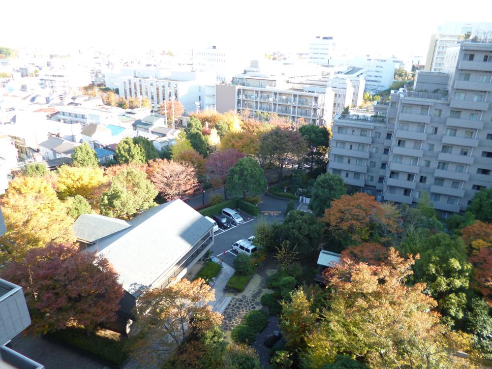 View photos from the dwelling unit. View from the balcony (11 May 2013) Shooting