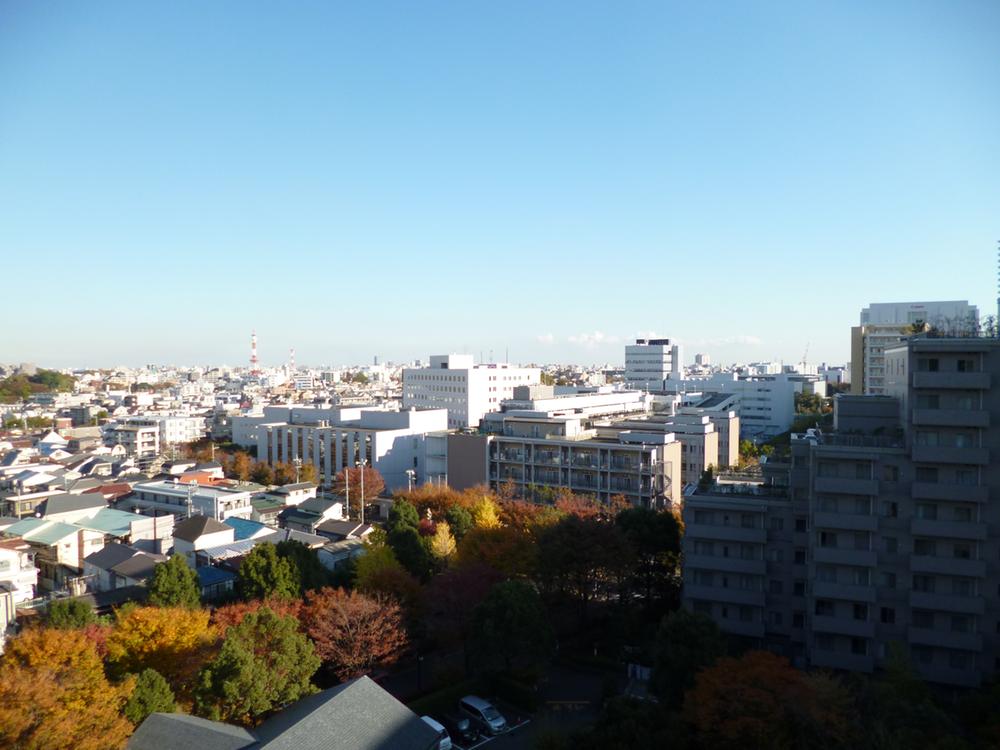 View photos from the dwelling unit. View from the balcony (11 May 2013) Shooting