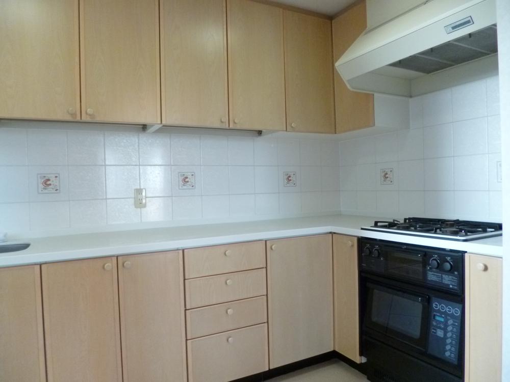 Kitchen. Indoor (11 May 2013) Shooting