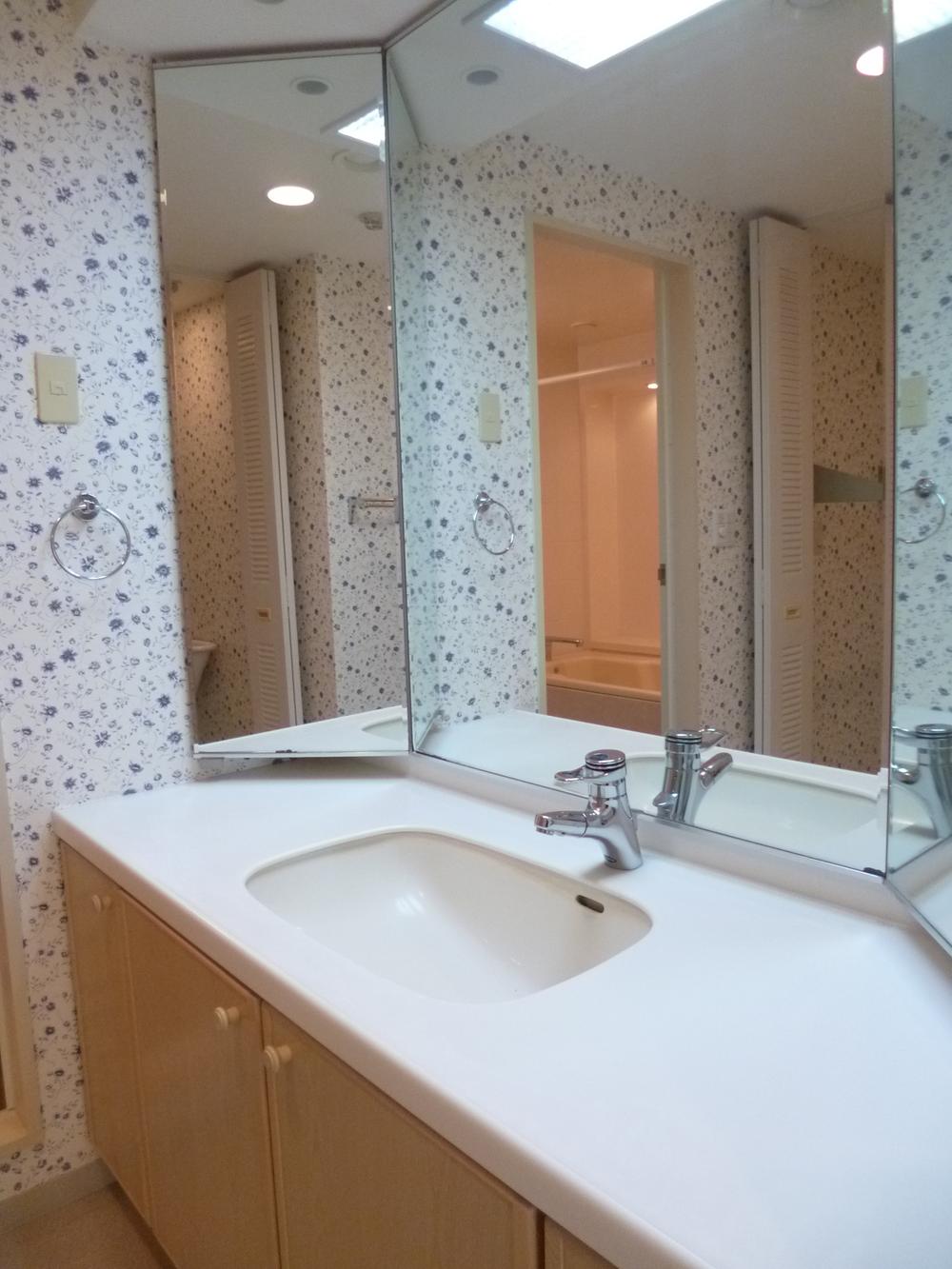 Wash basin, toilet. It housed a lot of vanity space.