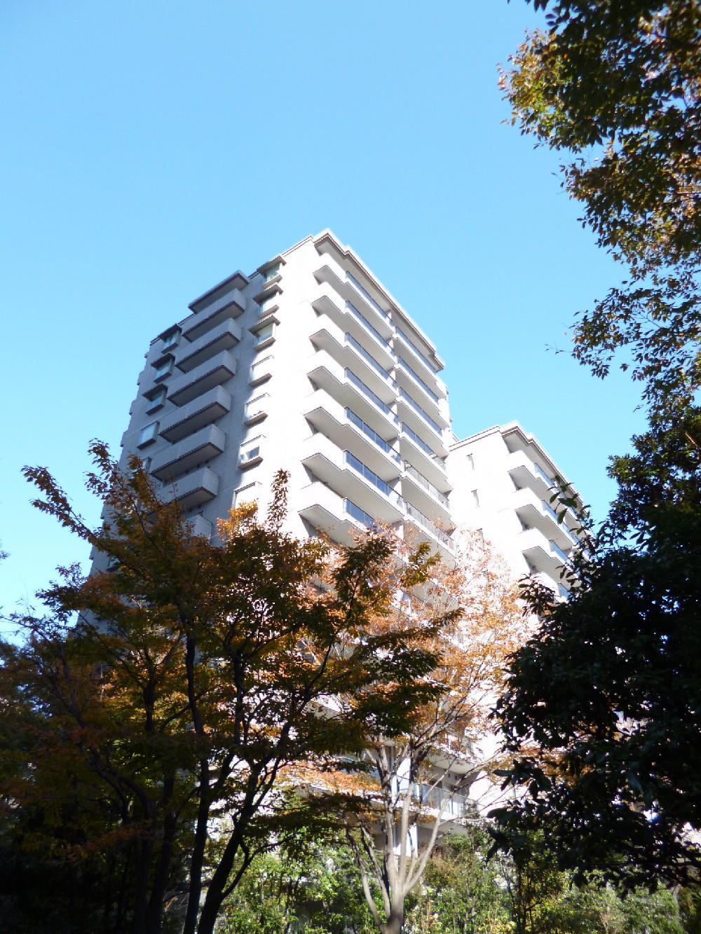 Local appearance photo. Local (11 May 2013) Shooting