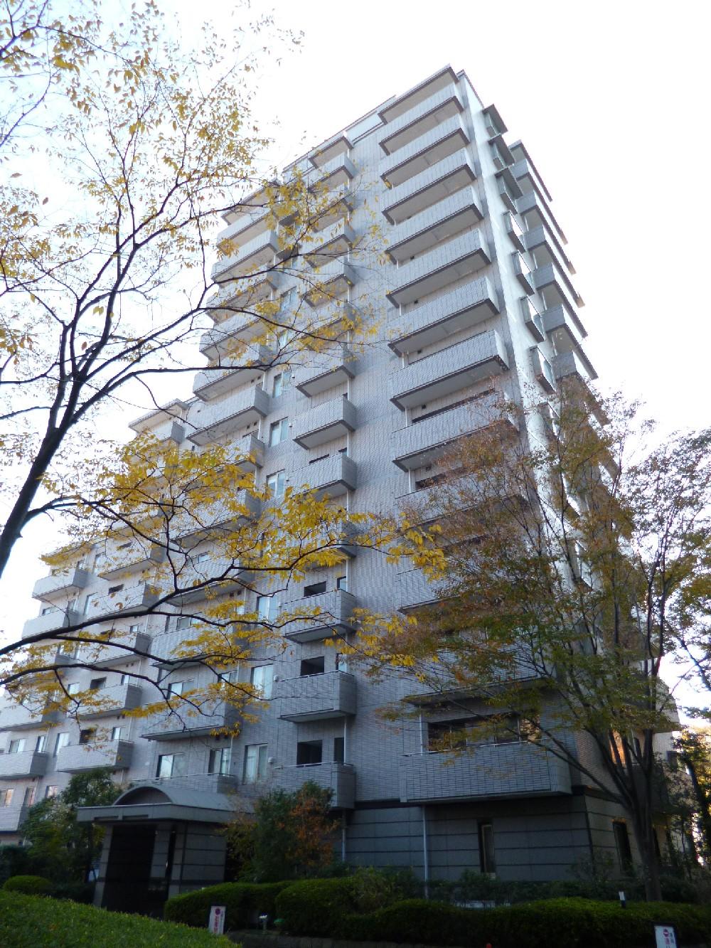 Local appearance photo. Appearance (November 2013)