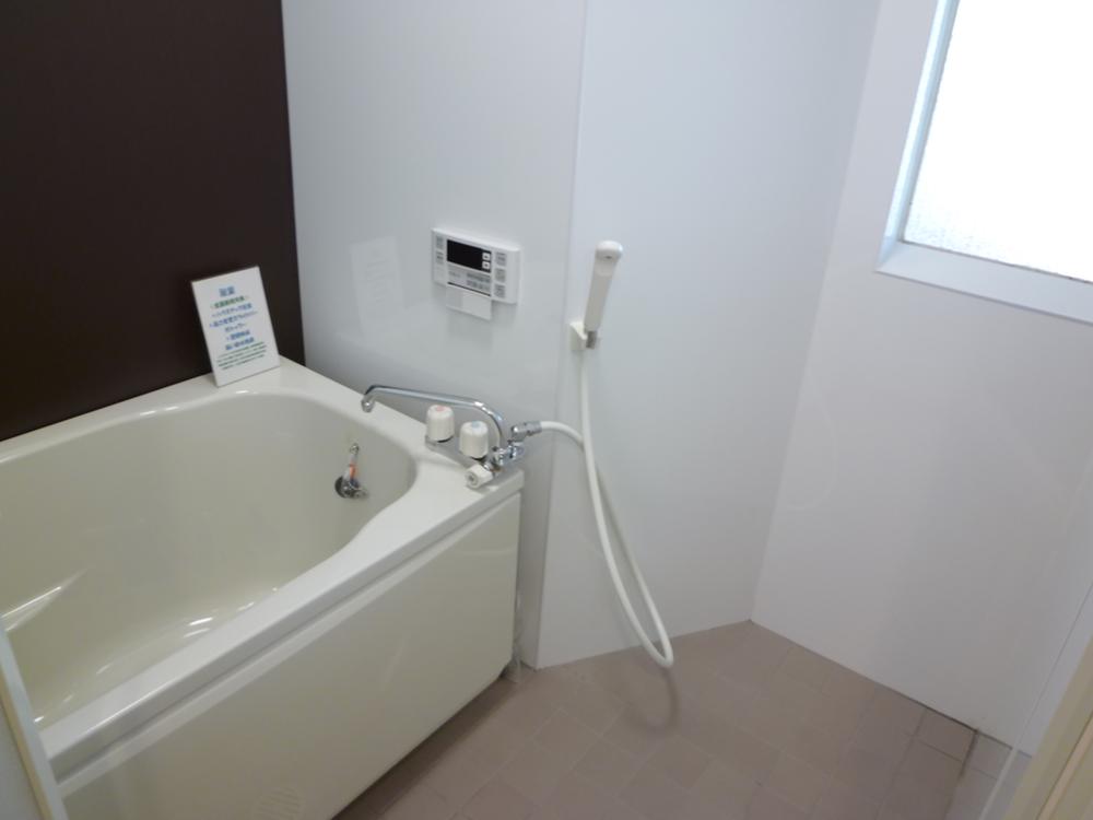 Bathroom. Indoor (10 May 2013) Shooting