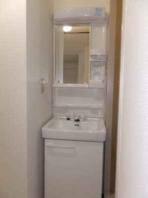 Washroom. Independent wash basin