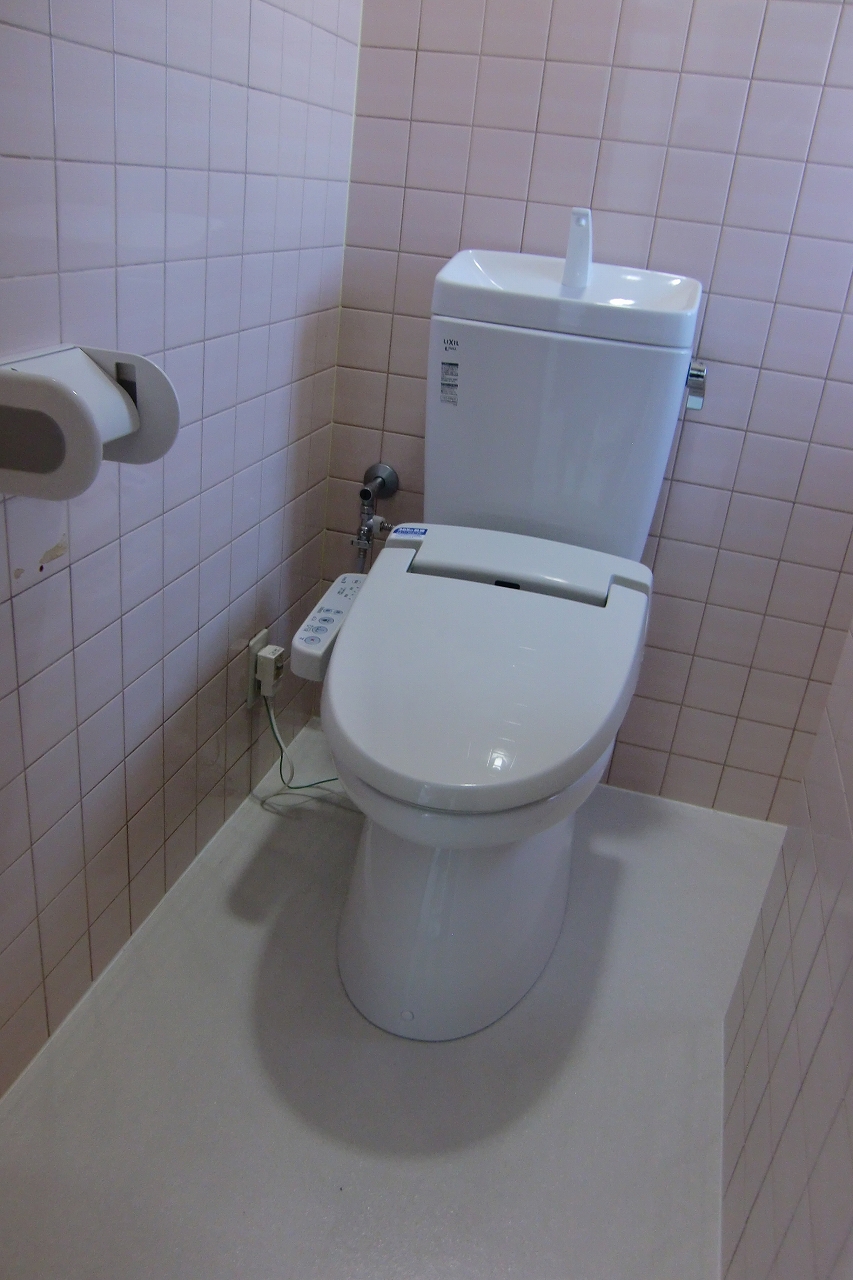 Toilet. With warm water washing toilet seat
