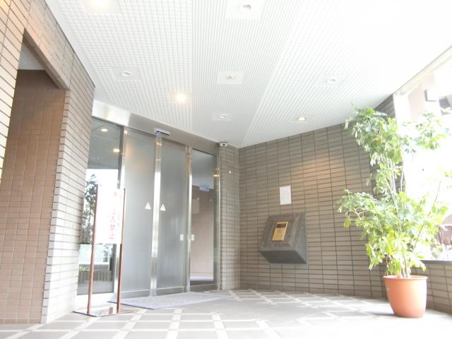 Entrance. Auto-lock (Entrance)