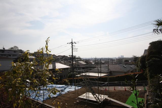 View photos from the local