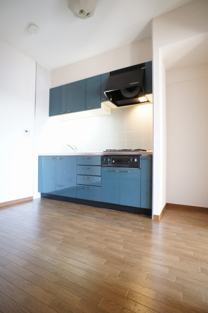 Kitchen. Stylish system Kitchen