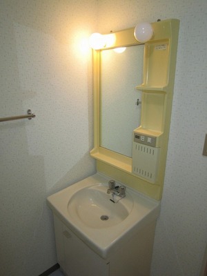 Washroom. Happy independence washbasin