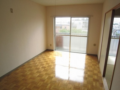 Living and room. Bright living room