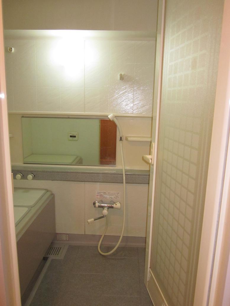 Bathroom. Indoor (March 2013) Shooting