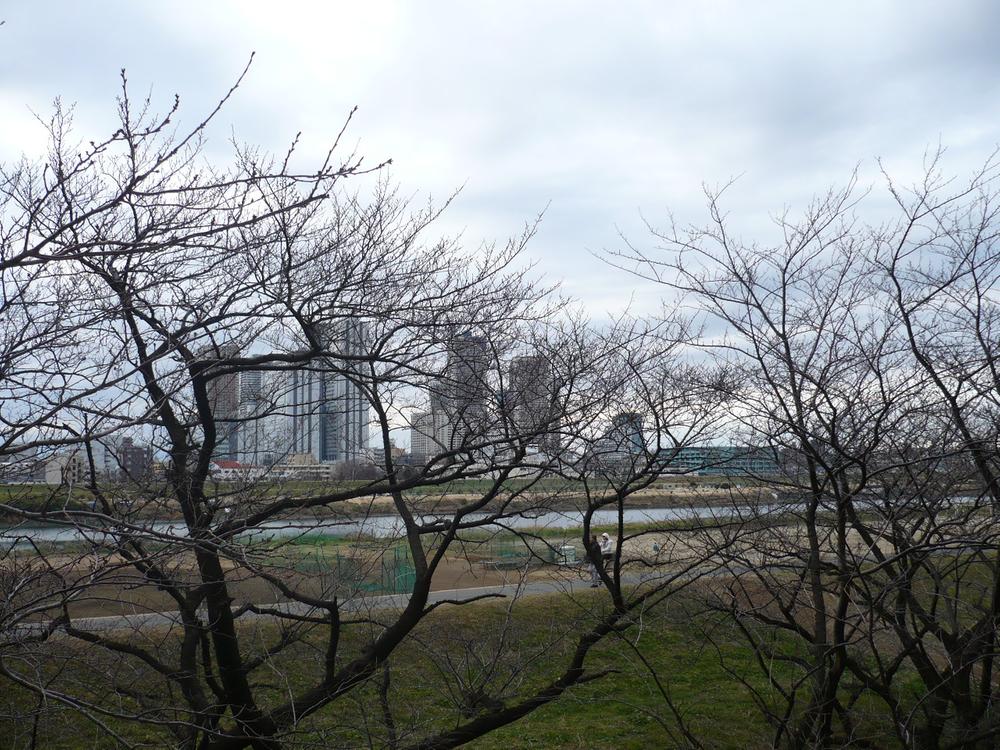 View photos from the dwelling unit. View from the balcony (2014 January shooting)