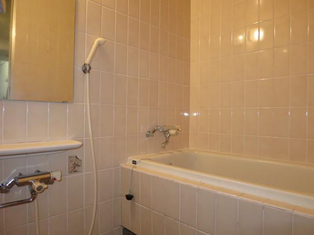 Bathroom. Indoor (10 May 2013) Shooting