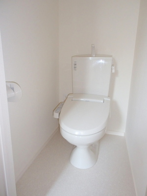 Toilet. Warm water washing toilet seat