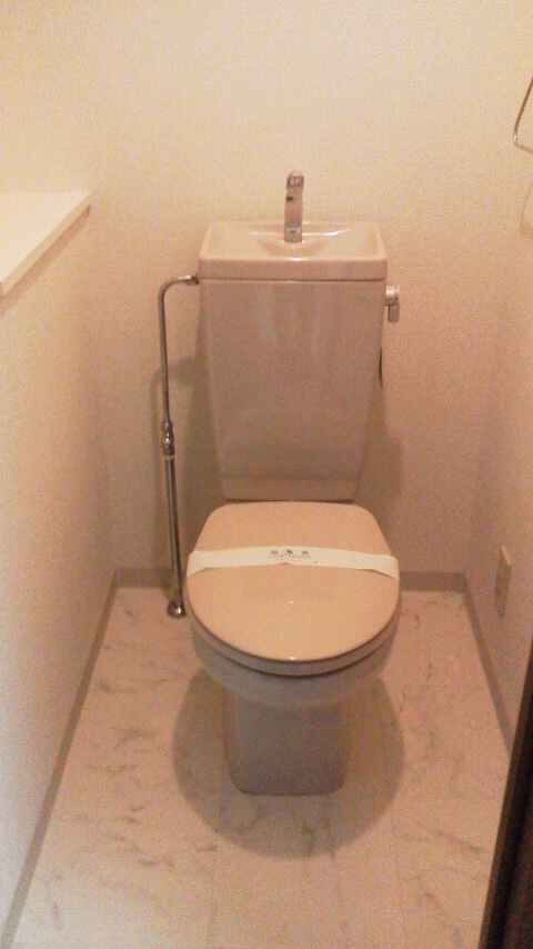 Toilet
