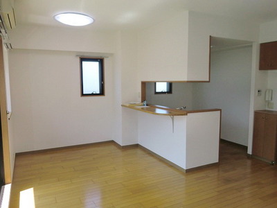 Other room space. Large living