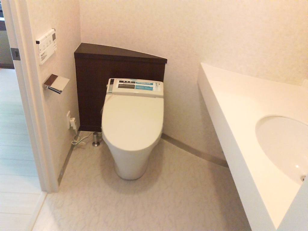 Toilet. With warm water washing toilet seat